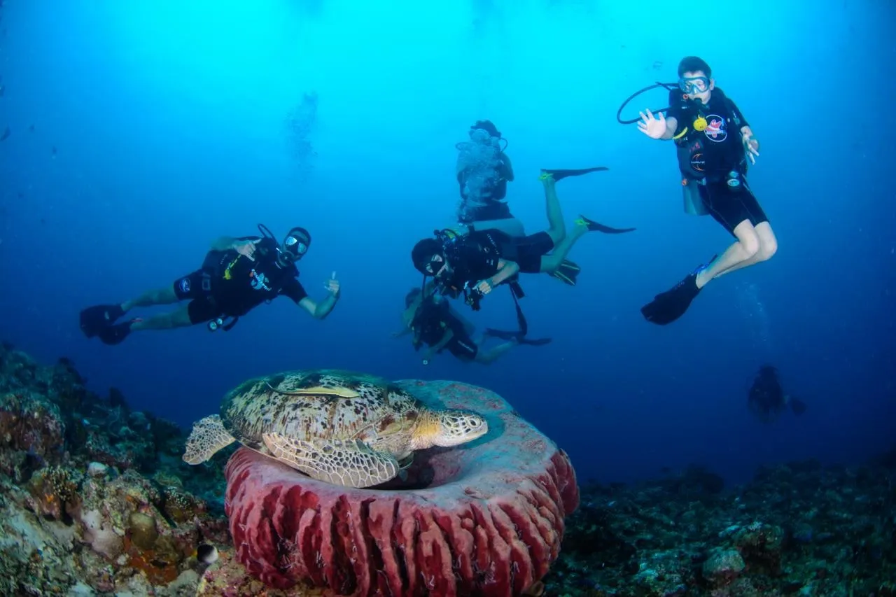 SSI Basic Diver