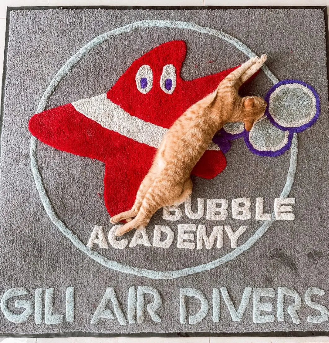 Bubble — Resident dive cat