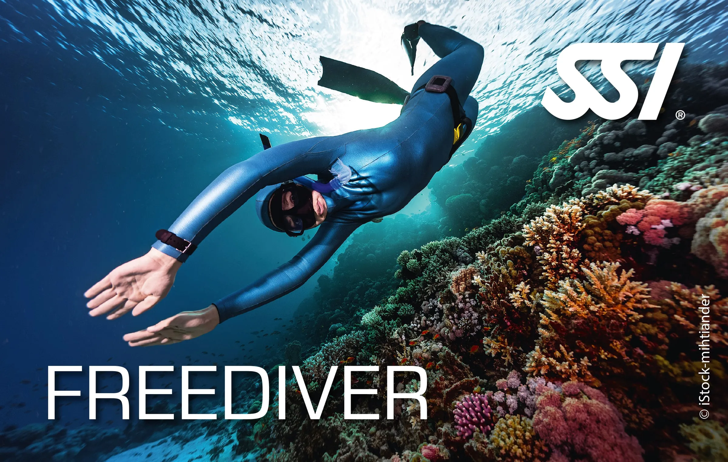SSI Freediving Level 1