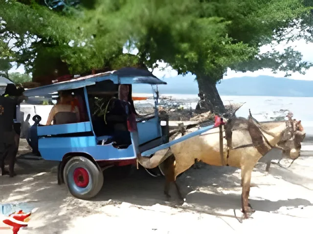 A cidomo horse-cart — local transport on the Gilis