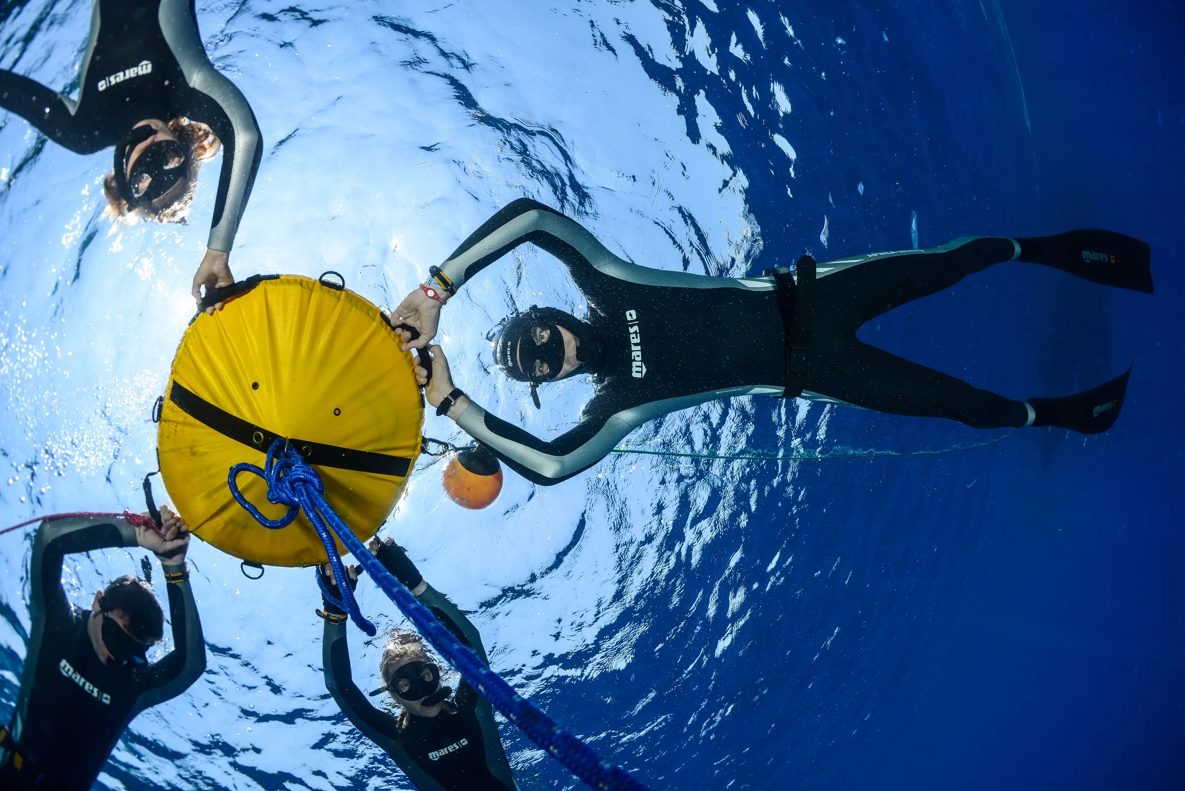 Line Training (Safety Buddy)