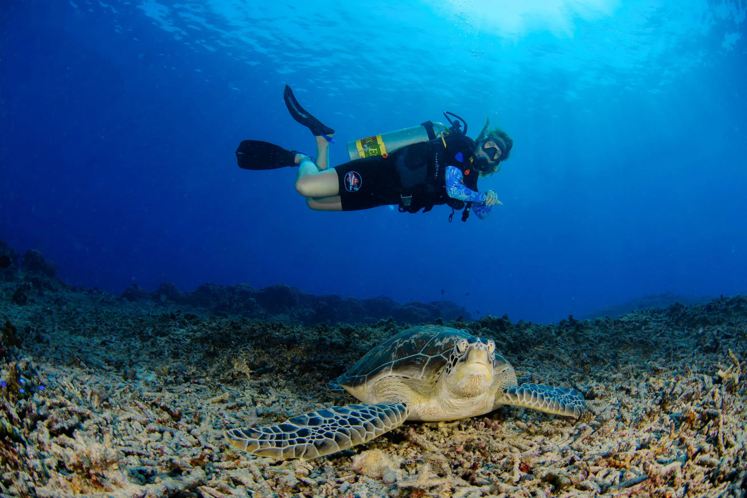 Diver beside a green sea turtle on the reef at Gili Air