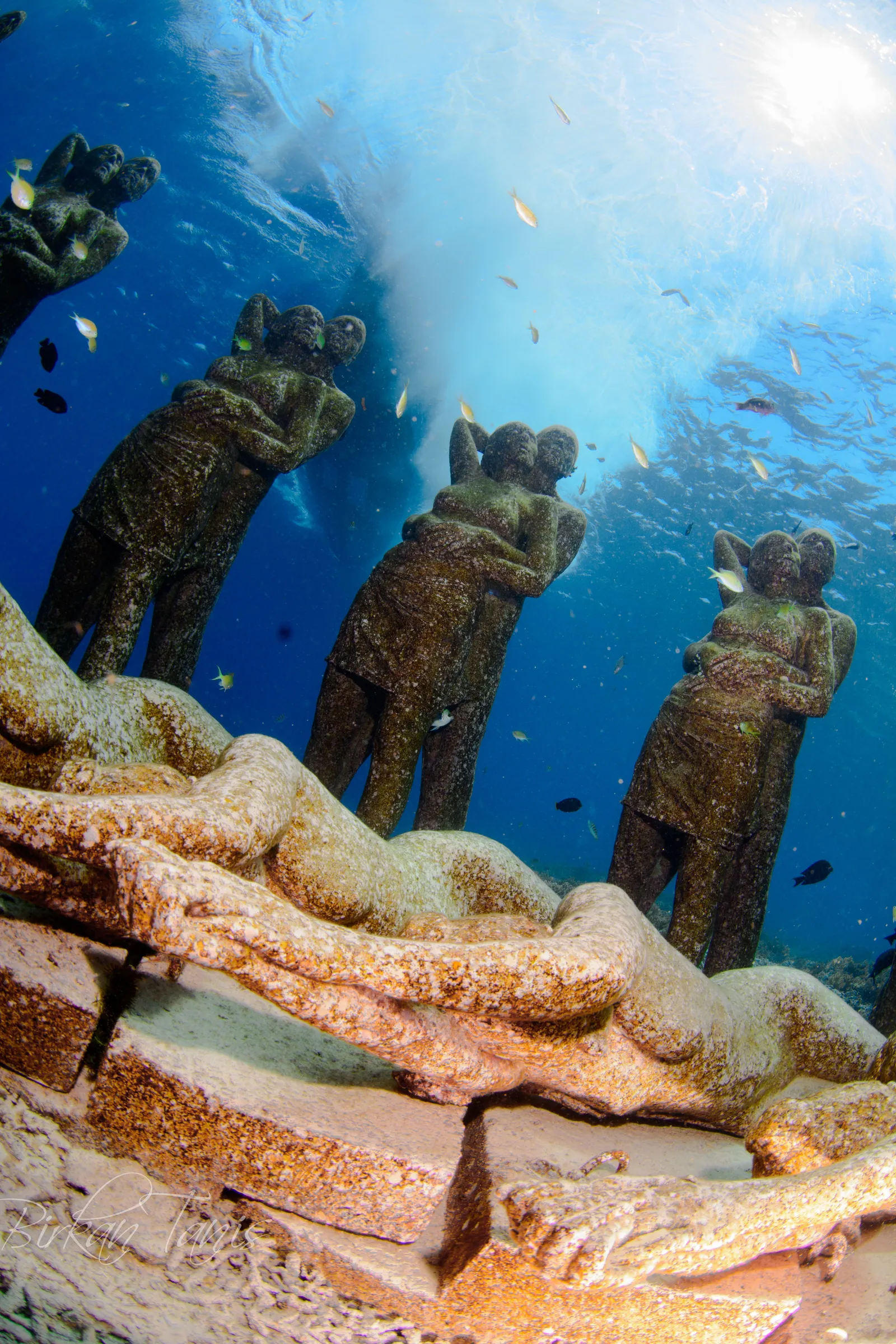 Statues encrusted with coral