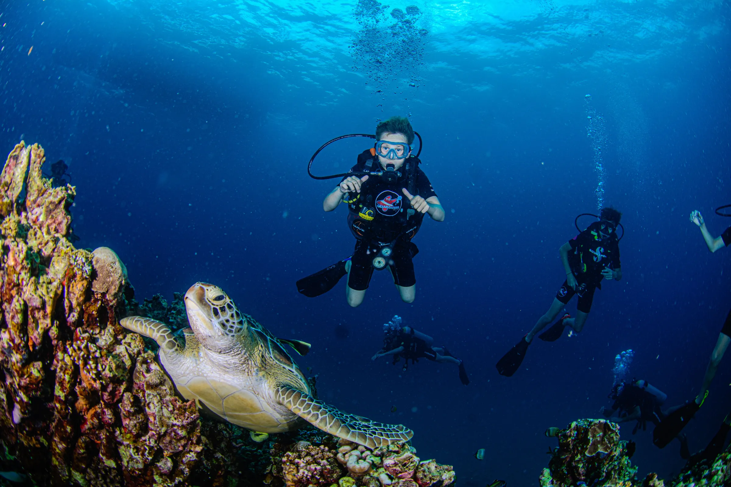 Diver descending near a turtle