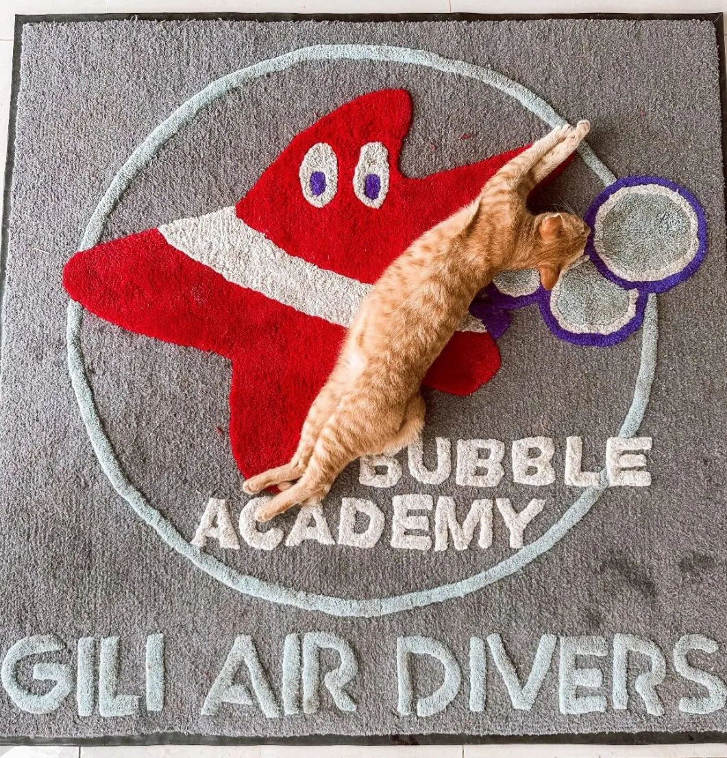Cats by the Bubble Academy sign