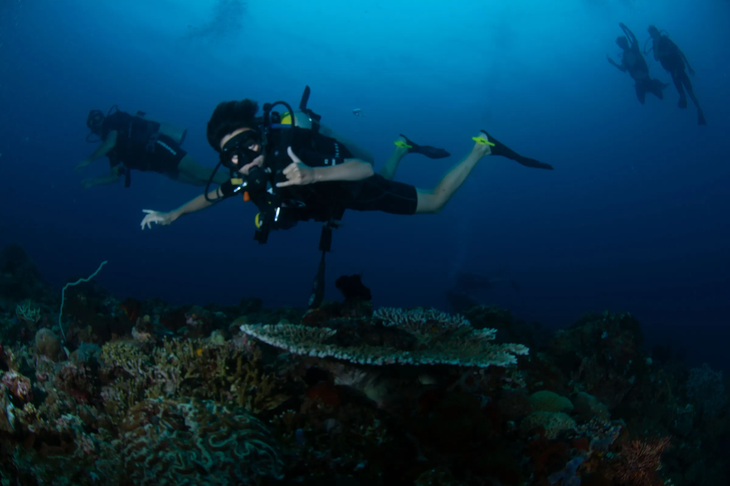 Diver gliding over reef shelf