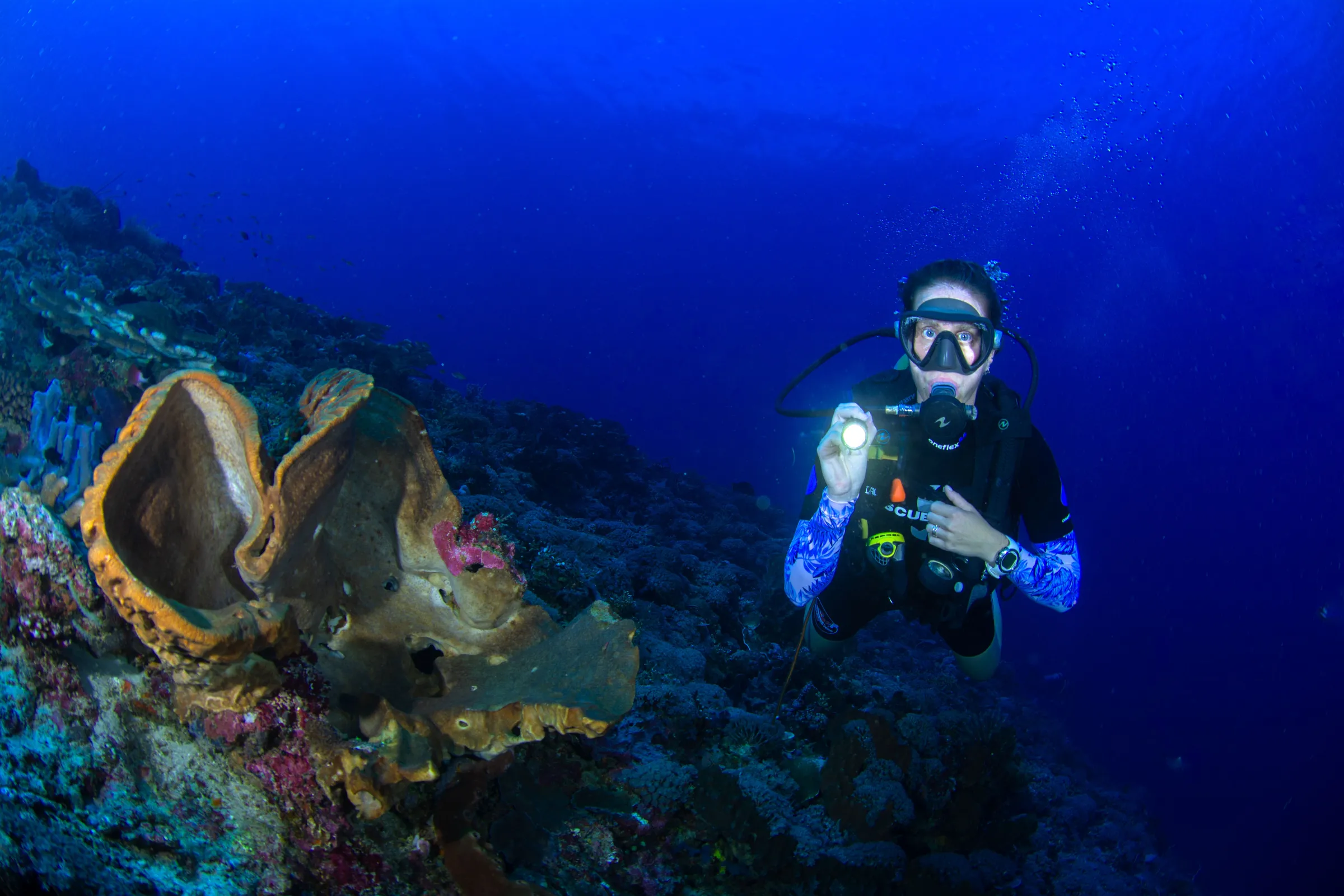 Diver lighting up a sponge