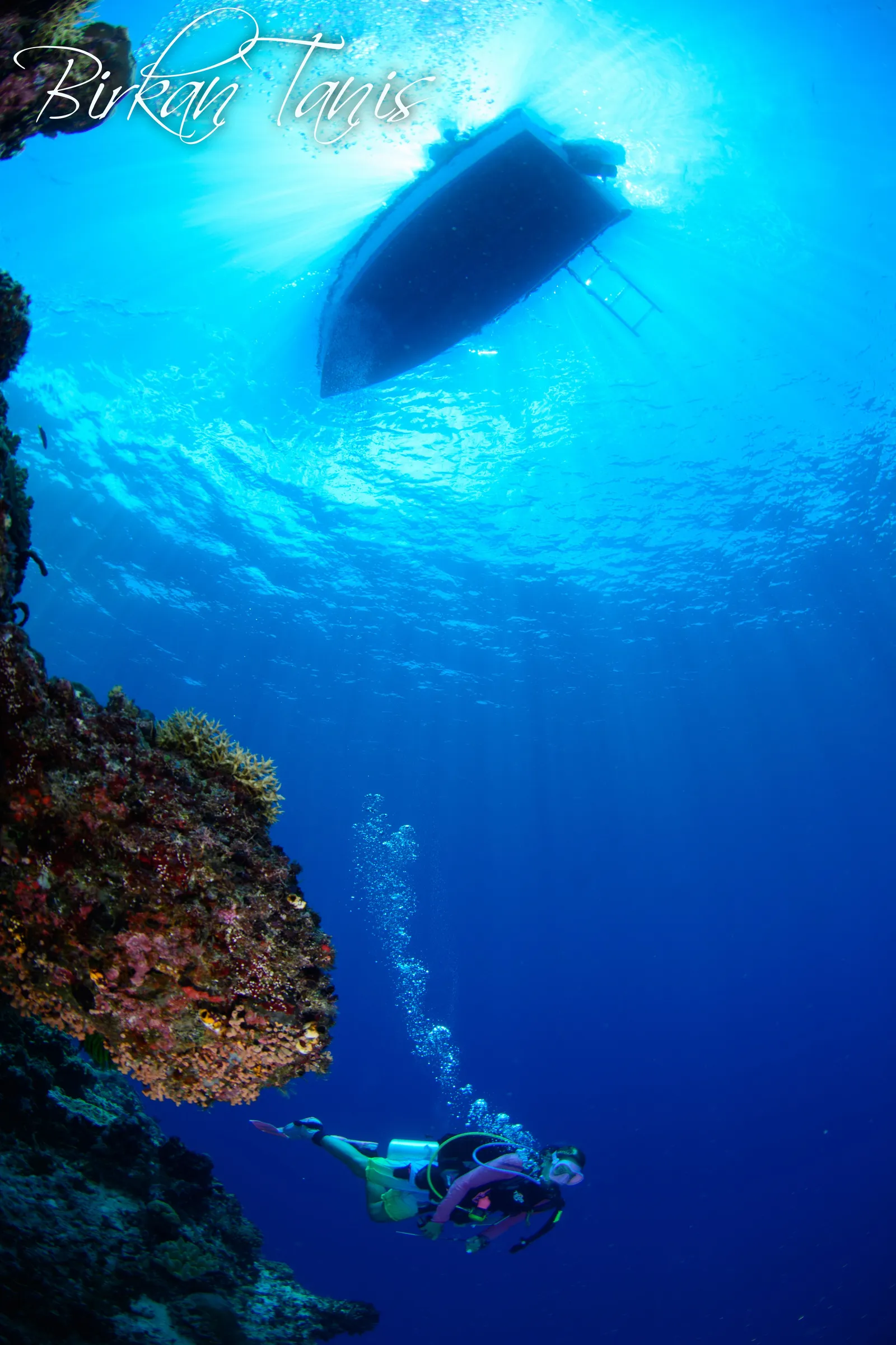 Boat silhouette from below