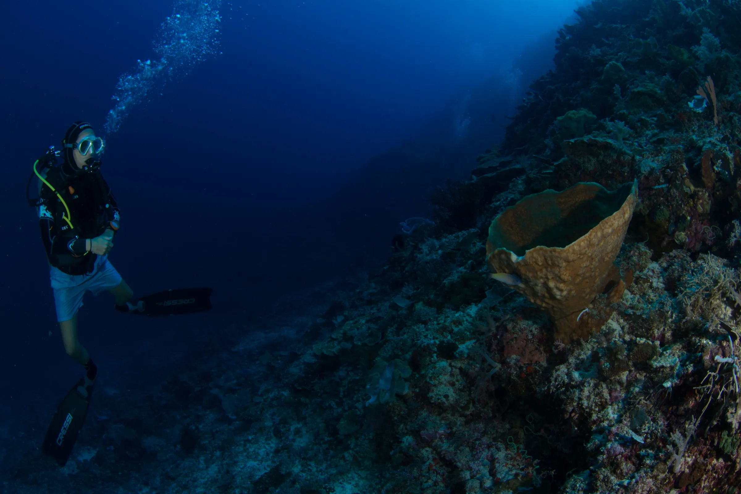 Diver exploring a deep wall
