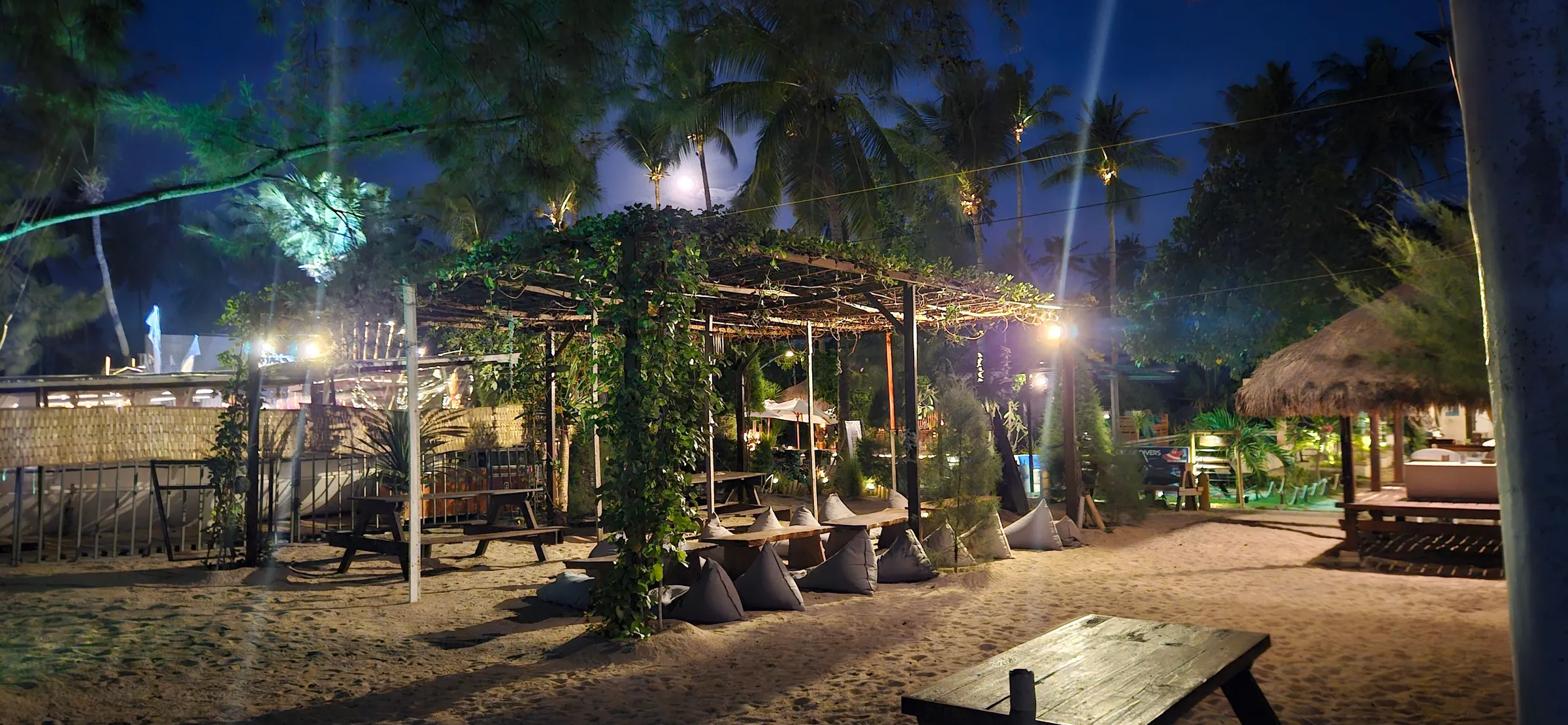 Garden at night