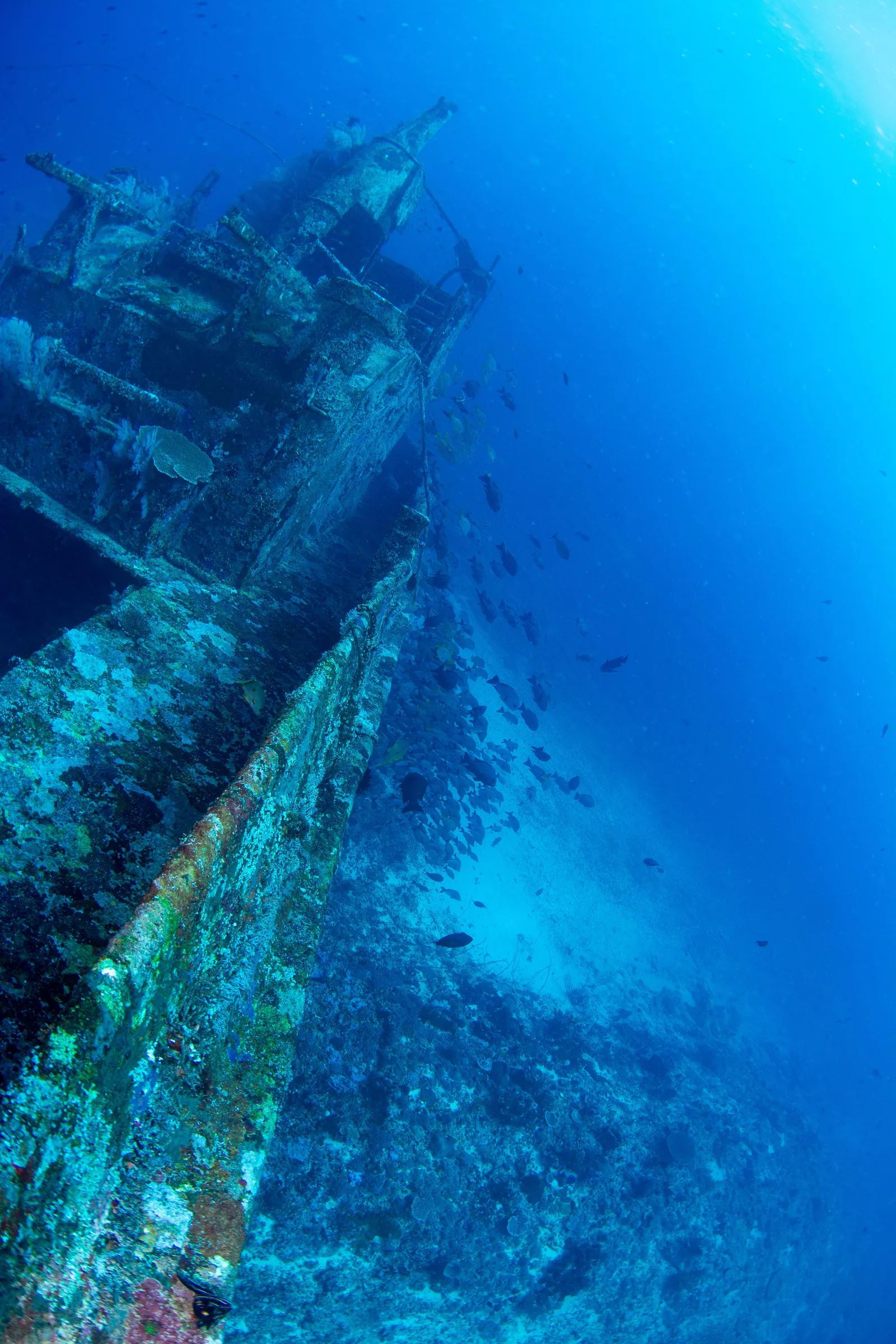 Glenn Nusa wreck in Shark Point