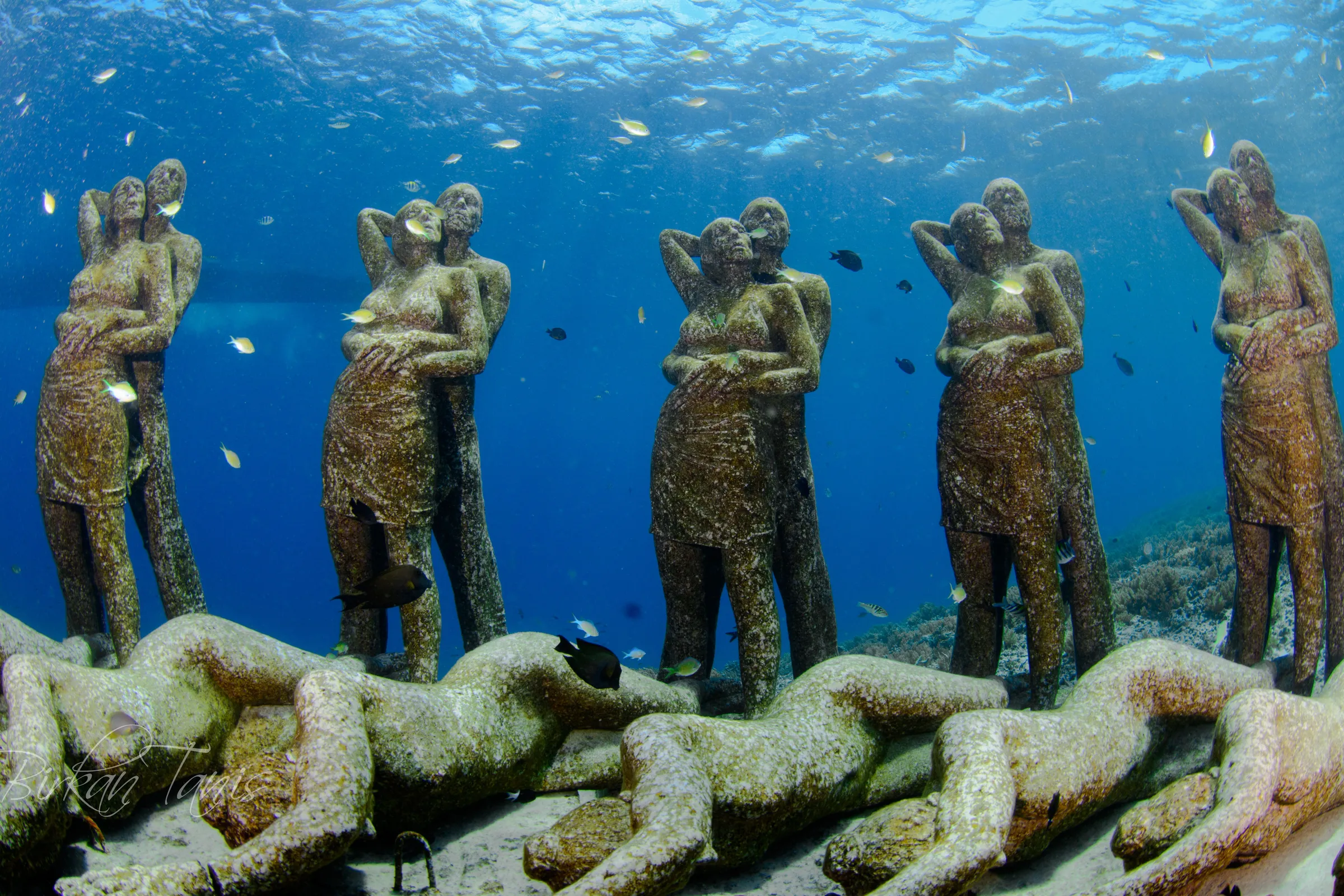 Statues among sponges and coral