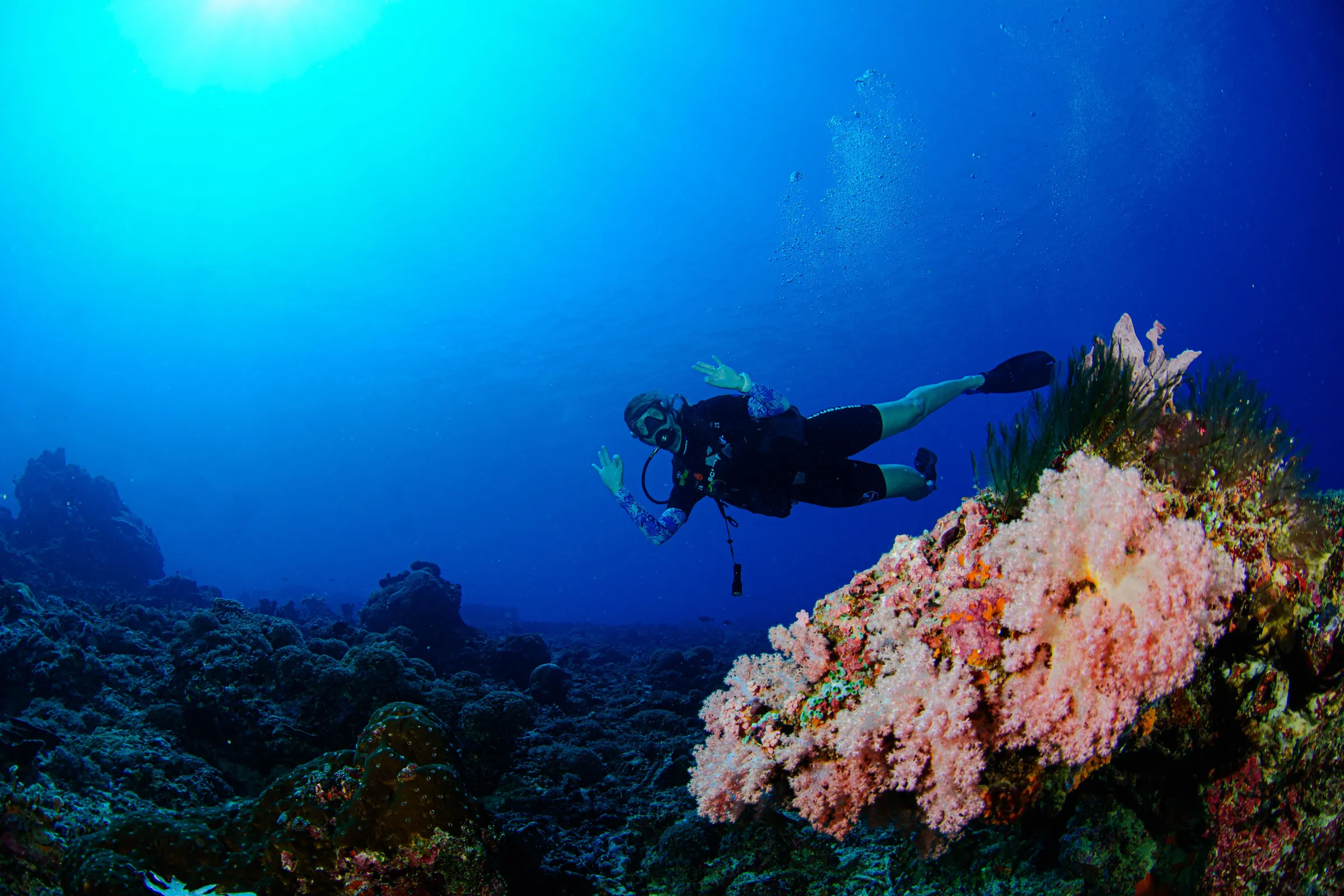 Diver beside vase sponge