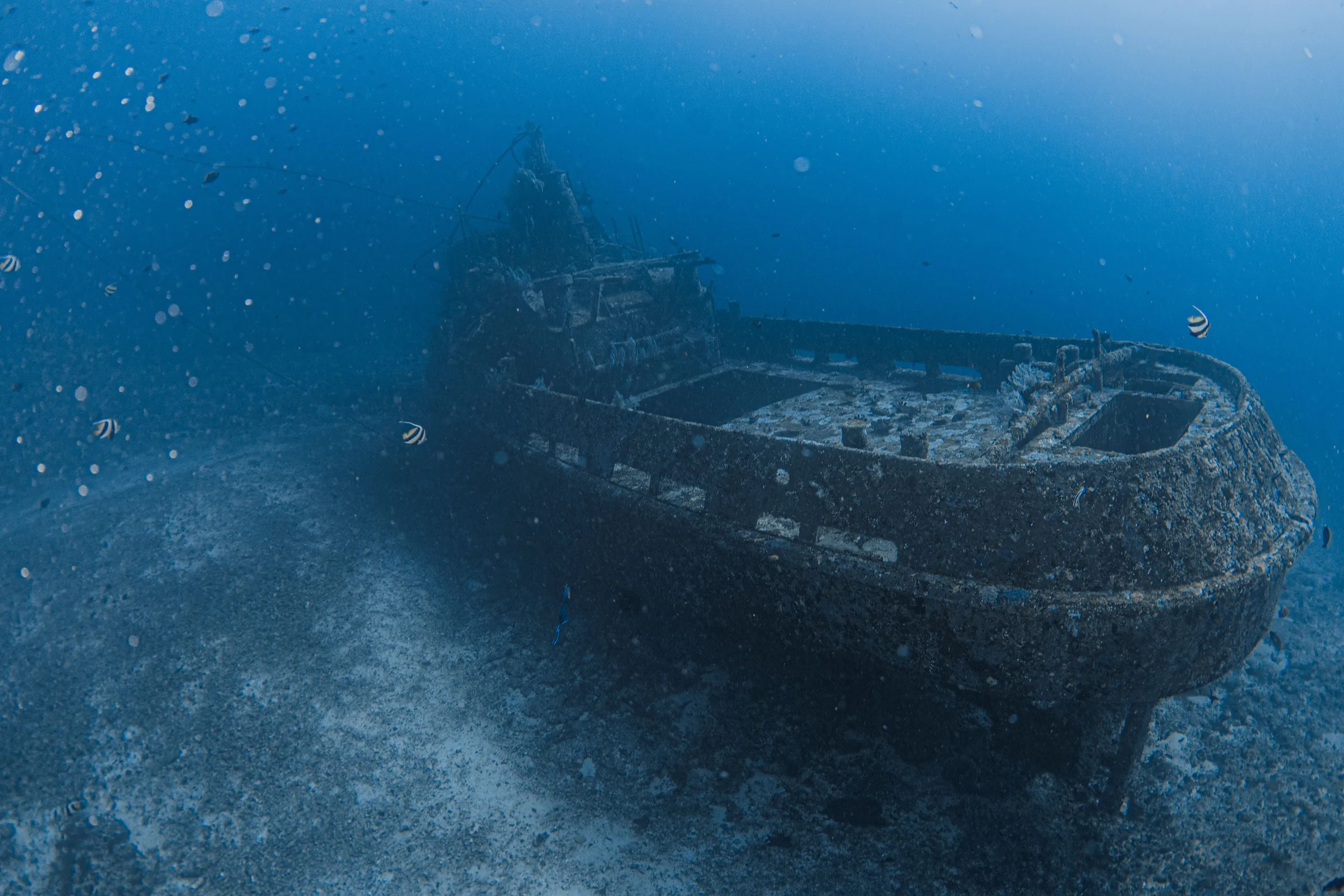 Wreck dive with coral encrusting