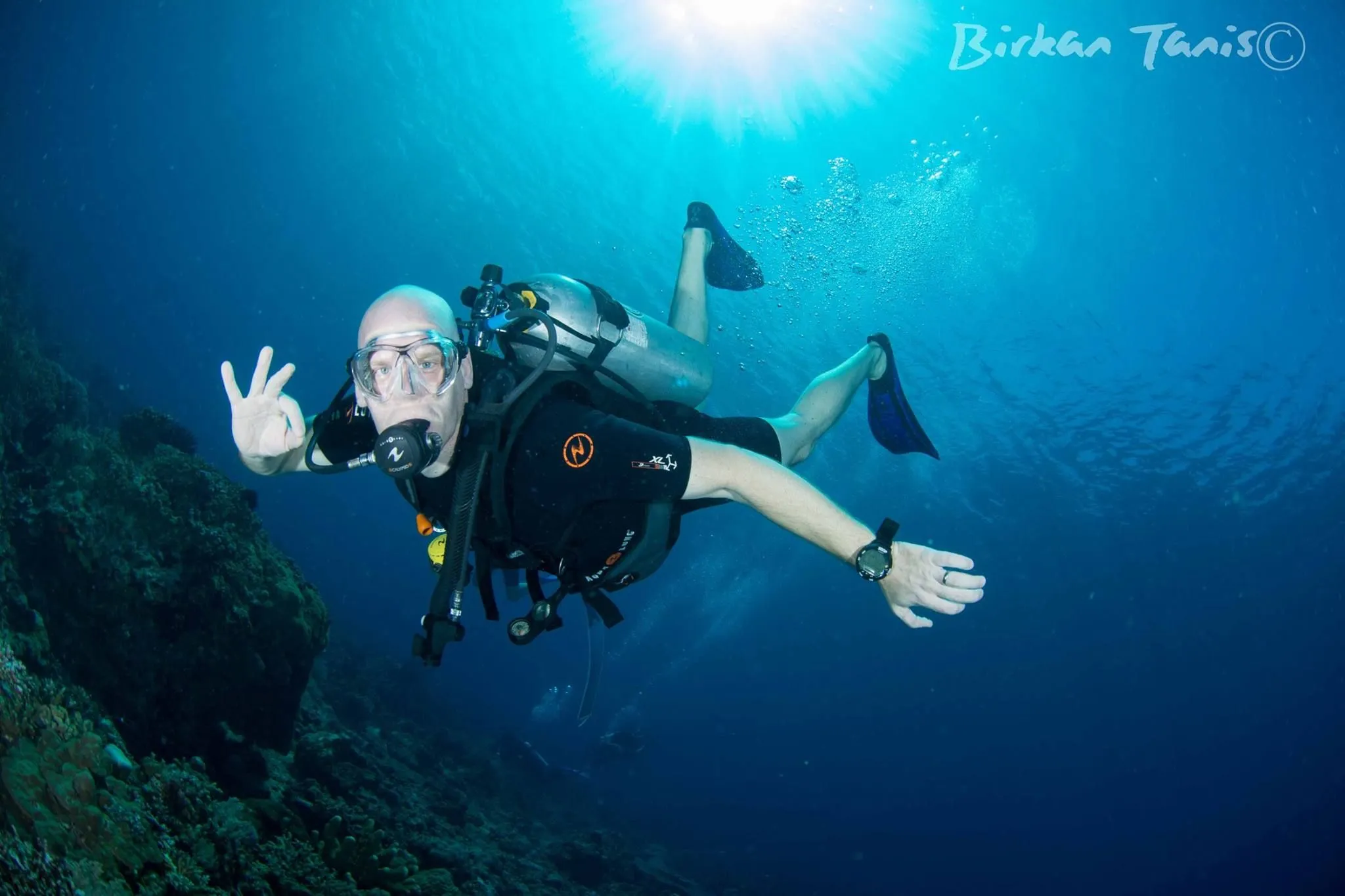 Diver hovering above table coral