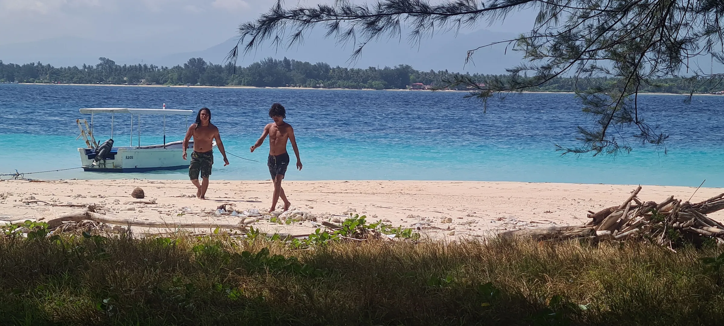 Couple walking on the beach