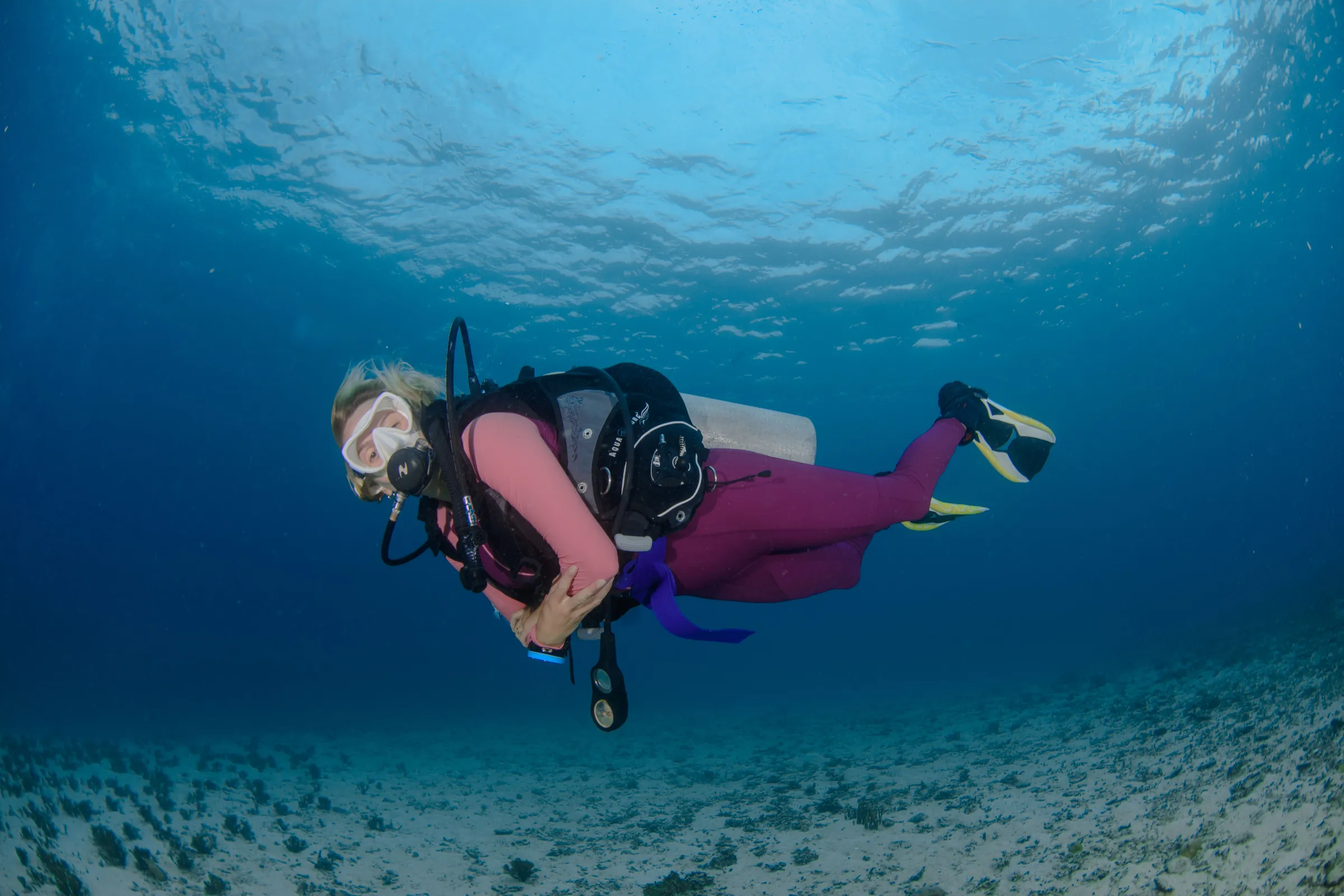 Diver giving OK above the reef